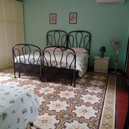 Il Cactus Bed & Breakfast San Giovanni Incarico Екстериор снимка