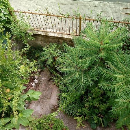 Il Cactus Bed & Breakfast San Giovanni Incarico Екстериор снимка