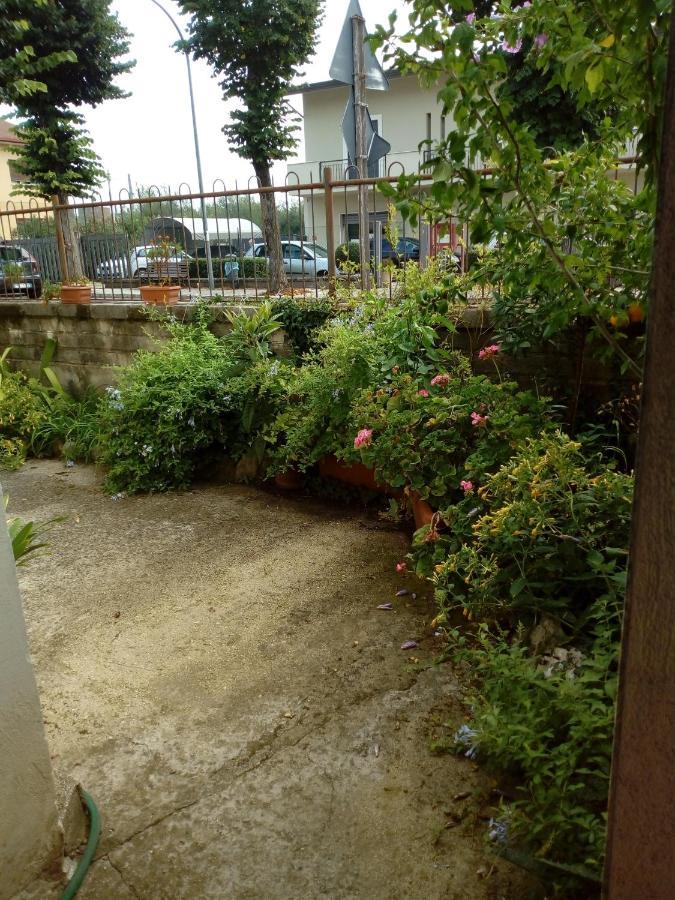 Il Cactus Bed & Breakfast San Giovanni Incarico Екстериор снимка