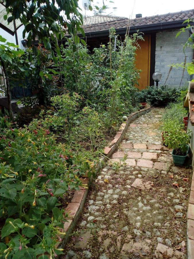Il Cactus Bed & Breakfast San Giovanni Incarico Екстериор снимка