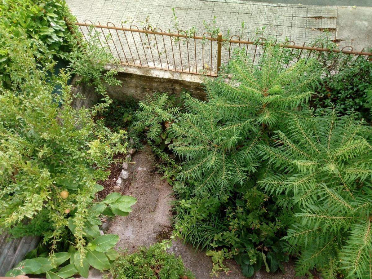 Il Cactus Bed & Breakfast San Giovanni Incarico Екстериор снимка